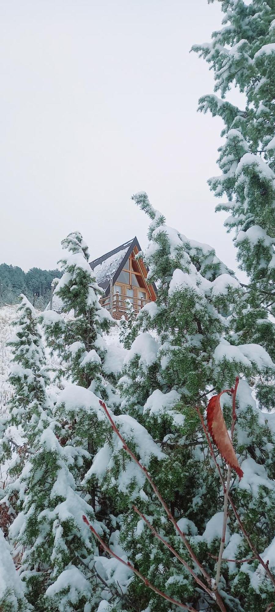 Monte Zen Villa Zabljak  Exterior photo